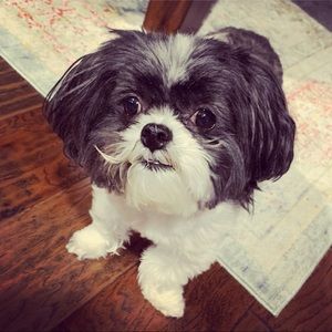 Meet your Posher, Janelle